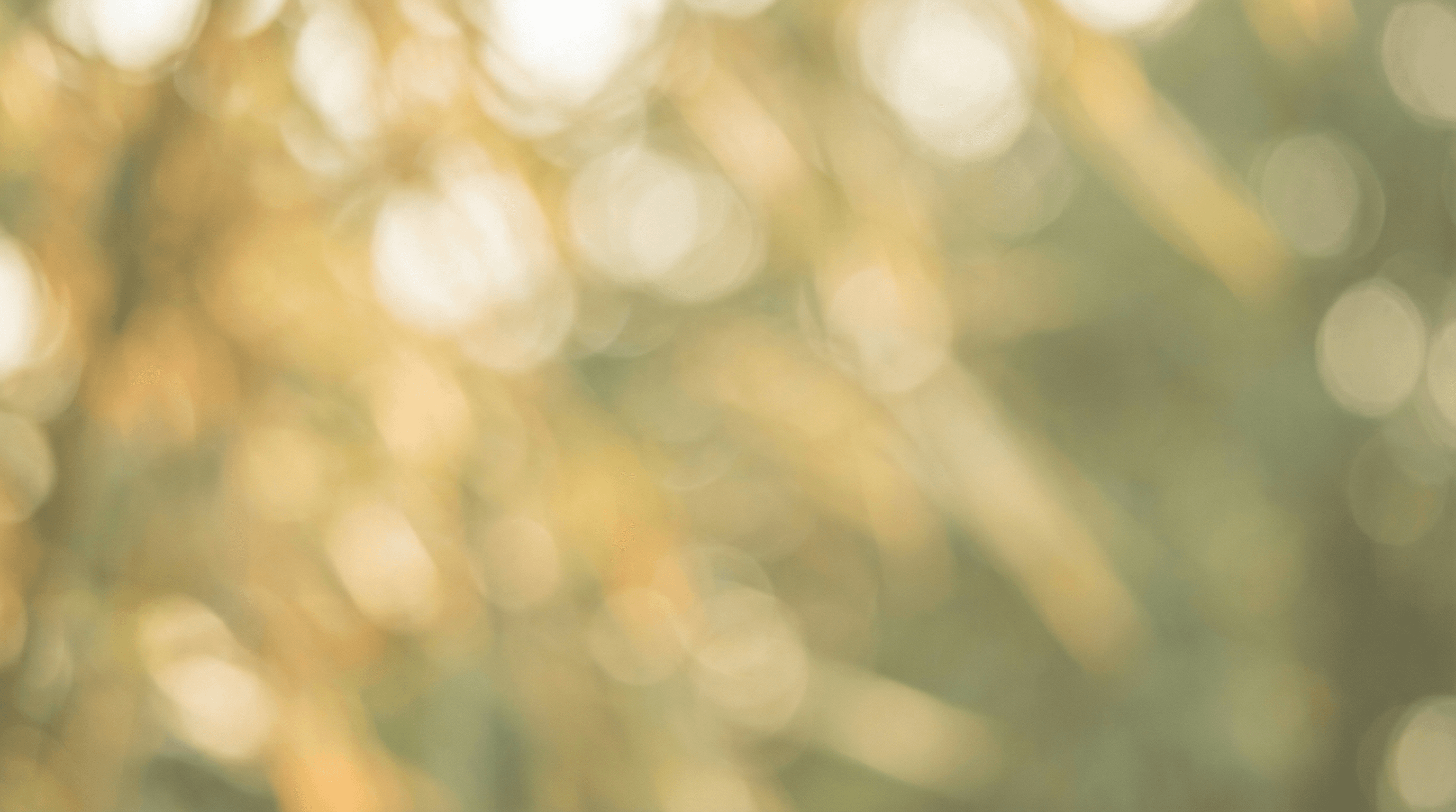 お問い合わせ背景